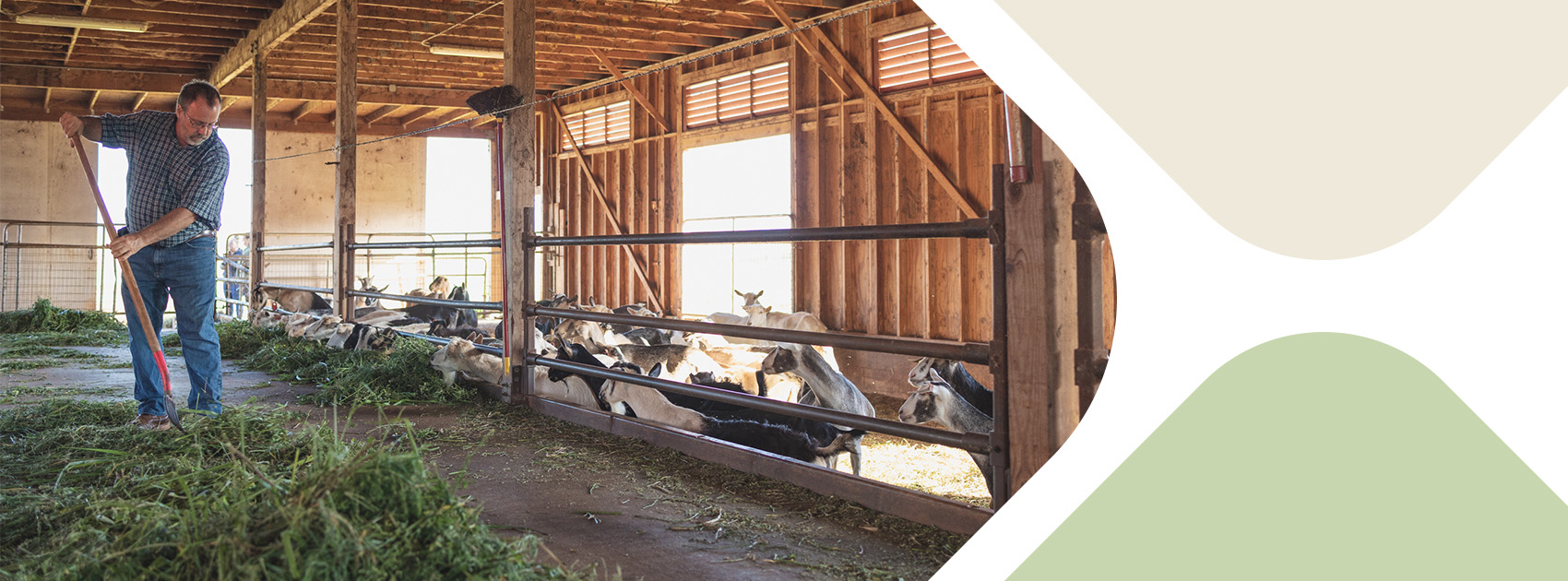 Farm Operating Loans